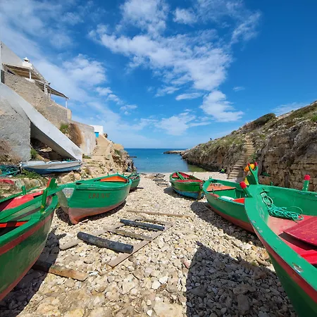 Cala Ponte, A Tribute Portfolio