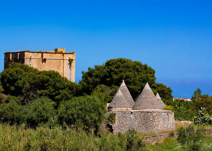 Cala Ponte, A Tribute Portfolio